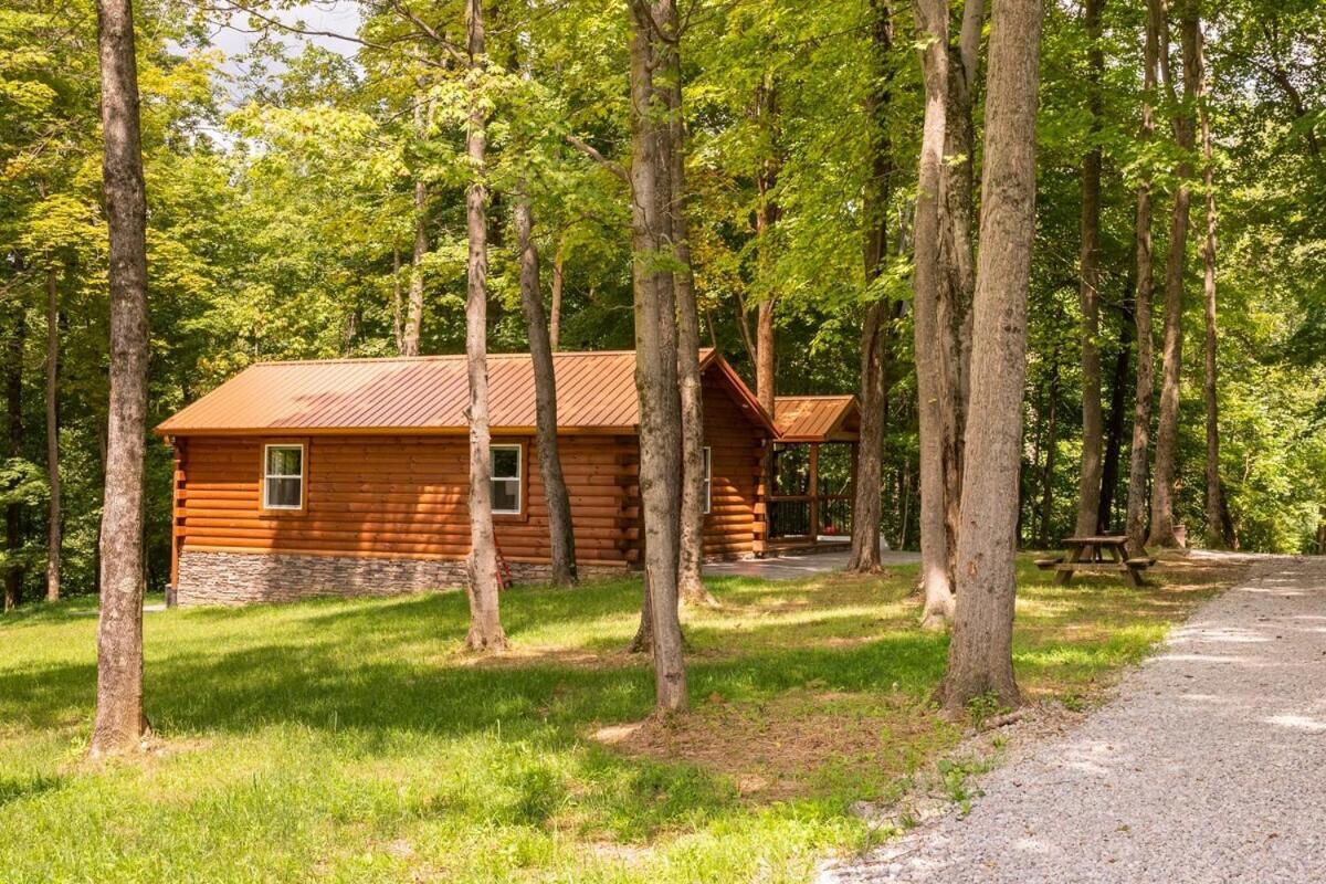 Secluded Wooded Cabin Near The Hocking Hills New Straitsville 외부 사진